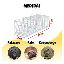 Ratoeira Gaiola Armadilha Para Ratos Ratazana Camundongo Roedores 30cm Grande Foto mini  3