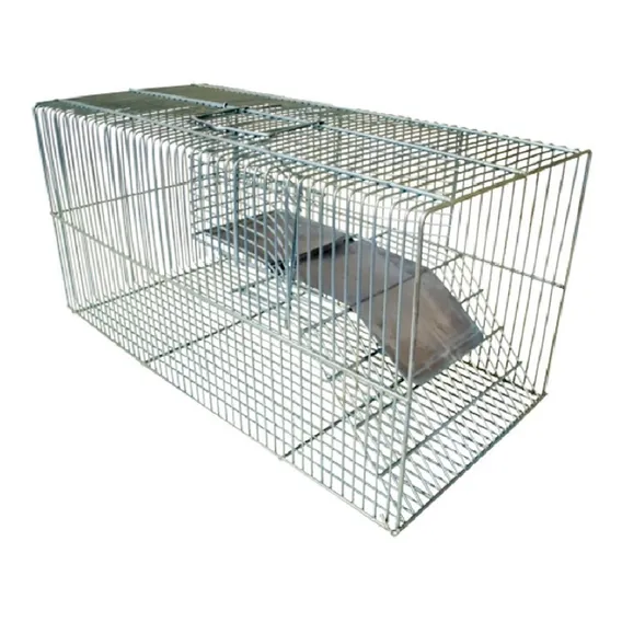 Ratoeira Grande Para Capturar Ratos Ratazanas Camundongos Foto 1
