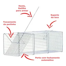 Ratoeira Isca Armadilha Pega Rato Grande Ratazana Camundongo Foto mini  3