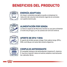 Recovery alimento royal canin veterinary diet canine para cĂŁo adulto 195g Foto mini 4