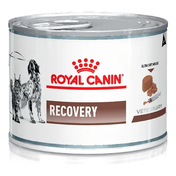 Recovery alimento royal canin veterinary diet canine para cĂŁo adulto 195g Foto 1