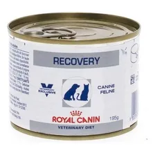 Recovery alimento royal canin veterinary diet canine para cĂŁo adulto 195g Foto mini 3