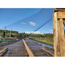 Rede Anti-pássaros 15 Mm Contra Pequenas Aves Até 2 Metros Foto mini 4