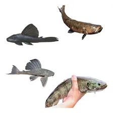 Rede De Pesca Malha 5 (5 Cm Entre Nós) Fio 035 10 Metros Cor Transparente Foto mini  3
