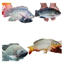Rede Pesca Malha 6 X 6cm ( 60mm ) Fio 0.35mm 70 Metros Foto mini  3