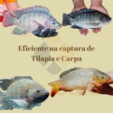 Rede Pesca Malha 6 X 6cm ( 60mm ) Fio 0.35 50 Metros Foto mini  3