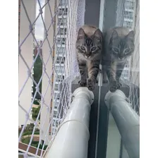 Rede Proteção Crianças, Gatos Para Janelas 10m X 1,20m Foto mini 3