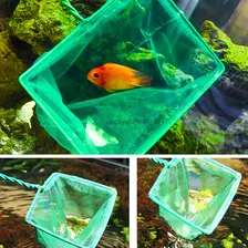 Redinha Rede Pega Peixe Alevinos Pequena Cata Sujeira 20cm Foto mini 4