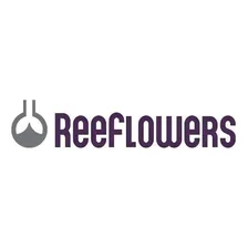 Reeflowers Bioclean Il 500ml Foto mini  2