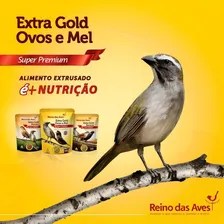 Reino Das Aves - Extra Gold Ovos E Mel - 500g Foto mini 3
