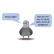 Repelente Xo Pombo Afasta Passaros Morcegos Kit 3x 400gr Foto mini 3