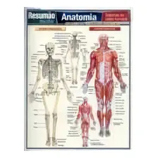 Resumao Escolar - Anatomia - Ensino Fundamental, De Perez, Vincent. Editora Barros, Fischer & Associados, Edição 1 Em Português, 2011 Foto mini 1