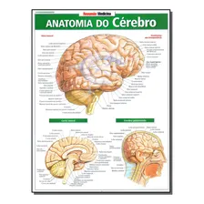 Resumao Medicina - Anatomia Do Cerebro: Resumão - Anatomia Do Cérebro, De Perez, Vincent. Série Medicina, Vol. Anatomia. Editora Resumao, Capa Mole, Edição Anatomia Em Português, 20 Foto  mini 1