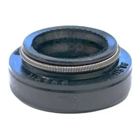Retentor Inferior Eixo Lm06 Lm08 Lf90 Lq90 Lte12 Ltr10 Top8 Foto 1
