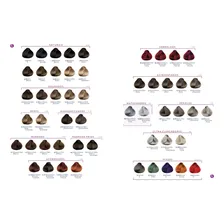 Richée Prismcolor 9/1 Coloração Louro Muito Claro Cinza 60g Tom 9/1 Louro Muito Claro Cinza Foto mini  3