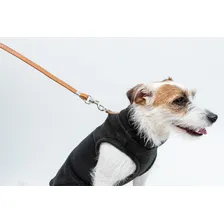 Roupa De Cachorro Roupa Pet Buldogue Pug Lhasa Apso - G Cor Azul G - Nº 12 Foto mini  3