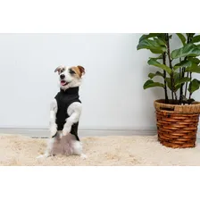 Roupa De Cachorro Roupa Pet Buldogue Pug Lhasa Apso - G Cor Azul G - Nº 12 Foto mini  2