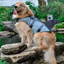 Roupinha Colete Salva Vidas P/ Cães Cachorro - Pet Tam (pp) Cor Tubarão Foto mini 4