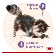 Royal Canin feline ultra light 85gr Foto mini 3