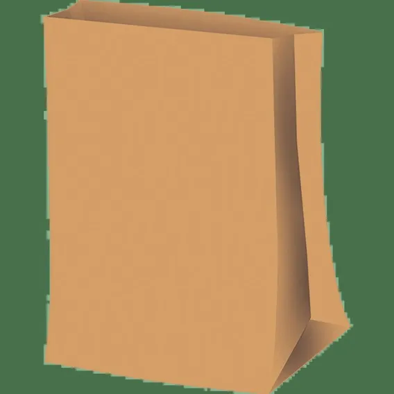 Saco Ecol贸gico De Papel Festcolor - 50 Unid. 23,5x29,5x12cm Foto 1