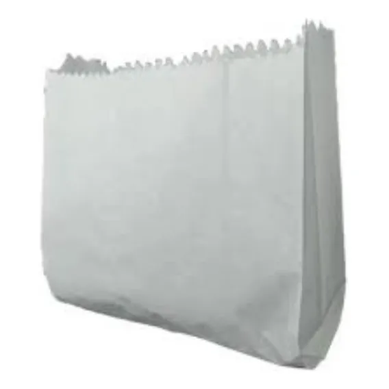 Saco Papel Hamburgão 12x18cm Branco Monolucido 500 Unidades Foto 1