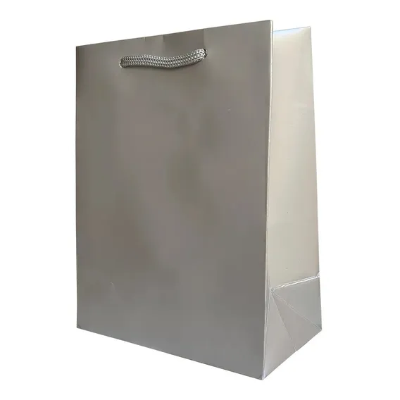 Sacola De Papel Duplex 13x14x6 C/ 10 Unid. S1 Cor Prata Foto 1