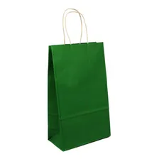 Sacola Papel Kraft 18x30x10 100 Unidades Verde Foto  mini 1