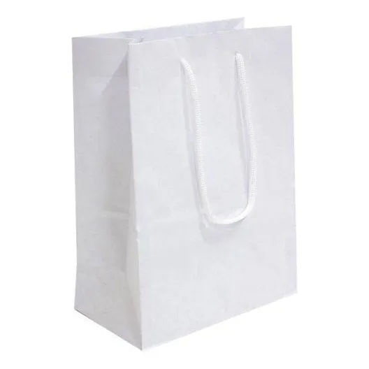 Sacolas De Papel Branca 30 Unidades 25x17x6cm Foto 1