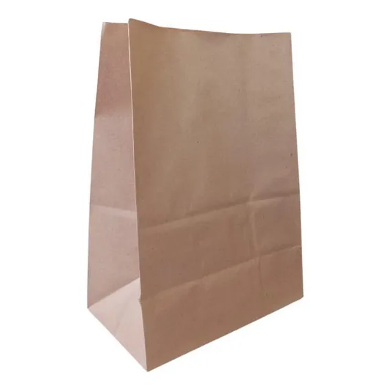 Sacos Papel Kraft Liso Delivery 22x13,5x29,5cm Com 50un Foto 1