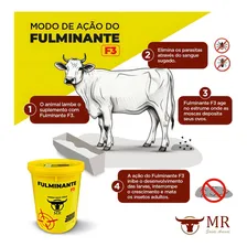 Sal Mineral Fulminante F3, Combate Insetos, 6kg Foto mini 2