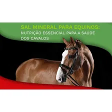 Sal Pra Cavalo Suplento Mineral Para Equinos 10kg Foto mini 2