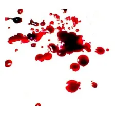 Sangue Falso Cenográfico LĂquido Maquiagem- 500 Foto mini 3