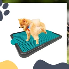 Sanitário Higiênico Com Grade Cães Xixi Pet Banheiro Canino Cor Rosa Foto mini 3