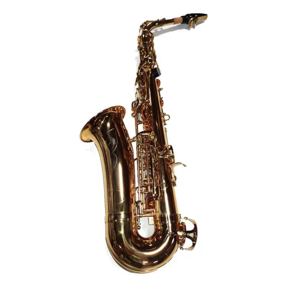 Sax Alto Dreamer Em Eb Niquelado Ft6430l Foto 1