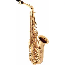 Sax Alto Eagle Sa 501 Laqueado Foto mini 2