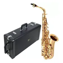 Sax Alto Eagle Sa501 Sa-501 Mib Laqueado Com Case Super Luxo Foto  mini 1