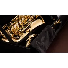 Sax Alto Eagle Sa501 Sa-501 Mib Laqueado Com Case Super Luxo Foto mini 4