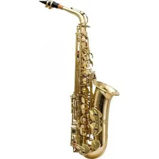 Sax Alto Has-200l Harmonics Completo Foto mini 1