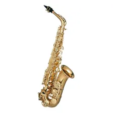 Sax Alto Hofma Hsa400 Laqueado Foto mini 1