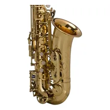 Sax Alto Shelter Laqueado Dourado Sgft6430l Foto mini 2