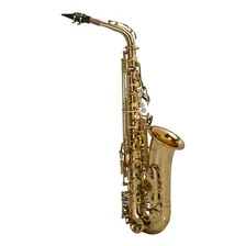 Sax Alto Shelter Laqueado Dourado Sgft6430l Foto mini 1