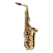 Sax Alto Vogga Vsas701n Cor Dourado Foto mini 1