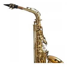 Saxofone Alto Shelter Laqueado Com Estojo Sgft6430l Dourado Foto mini 2