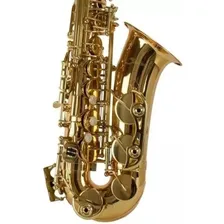 Saxofone Alto Shelter Laqueado Com Estojo Sgft6430l Dourado Foto mini 3
