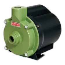 Schneider BCR-2010 bomba centrífuga verde 220V 60 Hz Foto  mini 1