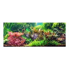 Seachem Alkaline Buffer 70g Aumenta O Ph Da Água Aquário Foto mini  2