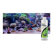 Seachem Reef Phyto Plankton 250ml Suplemento Comida P/ Coral Foto mini  2