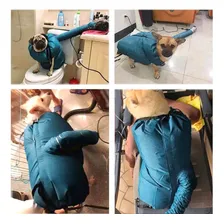Secador Banho Pet Secador Pelo Cão Bolsa De Secagem Portáti Cor Azul Foto mini  2