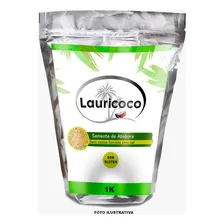 Semente Abobora Sem Casca Torrada Sem Sal 1kg Foto mini 1