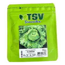 Semente De Alface Americana Gloriosa Pelet 2000 Sementes Tsv Foto mini 1